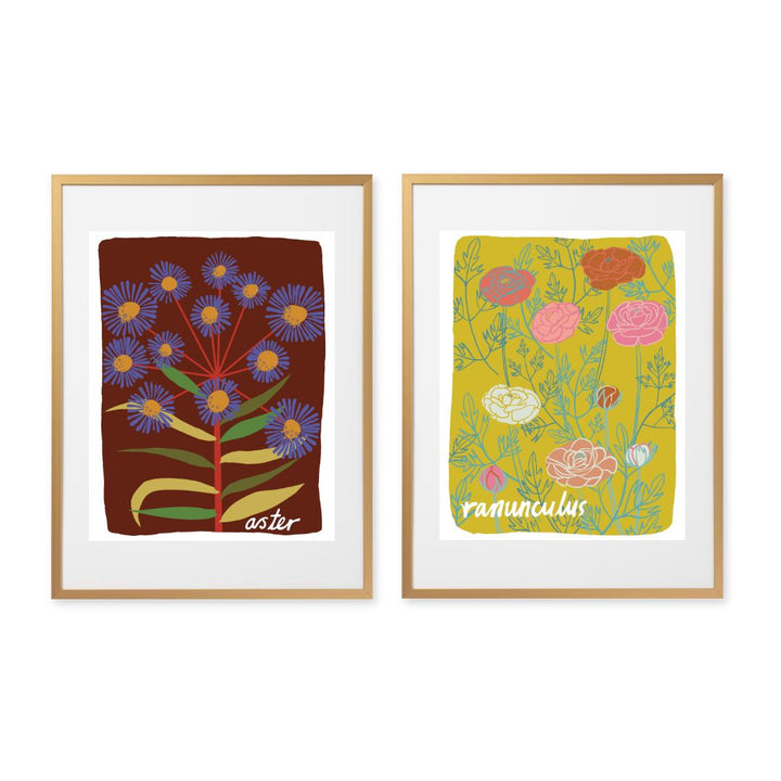 Ranunculus - Art Print