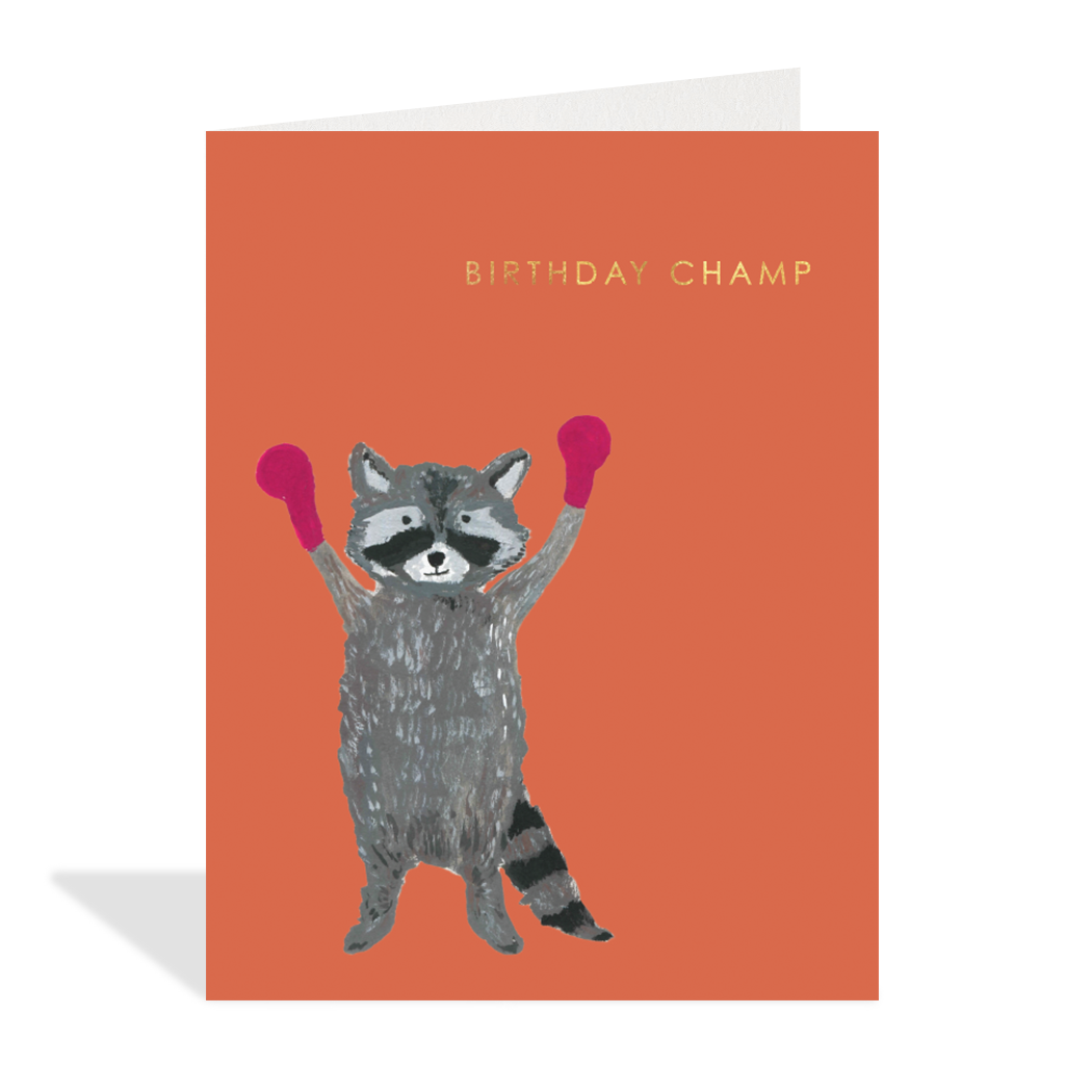 Birthday Boxing Raccoon