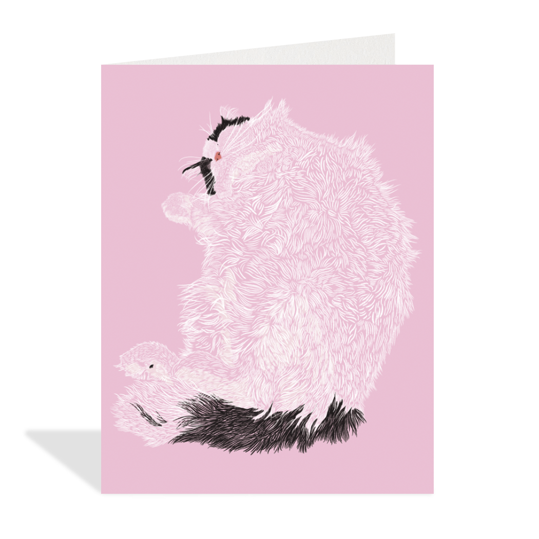 Sassy Cat