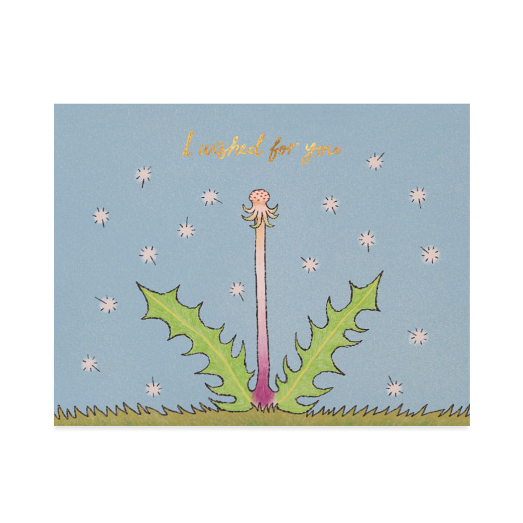 Wished for You