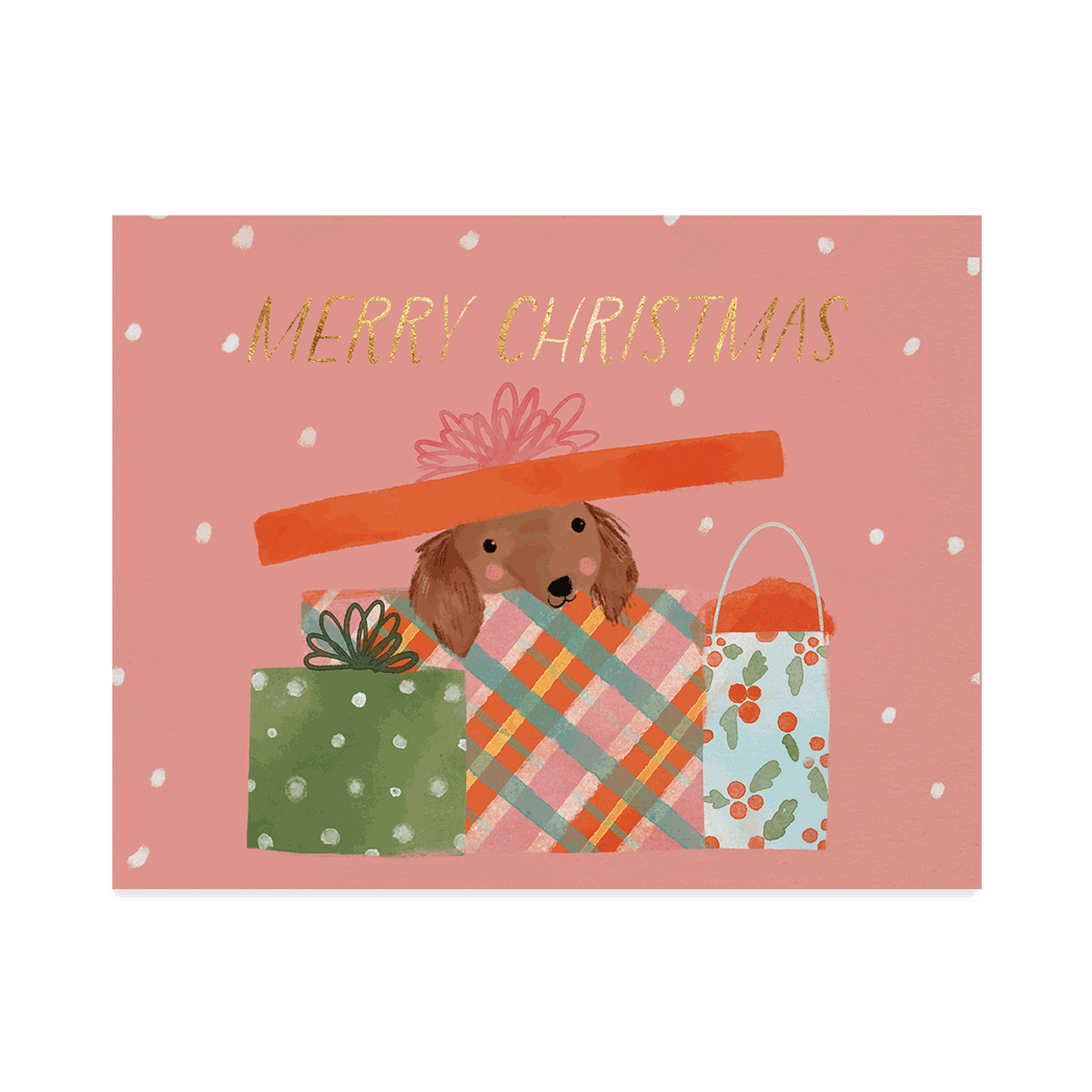 Paw-fect Gift