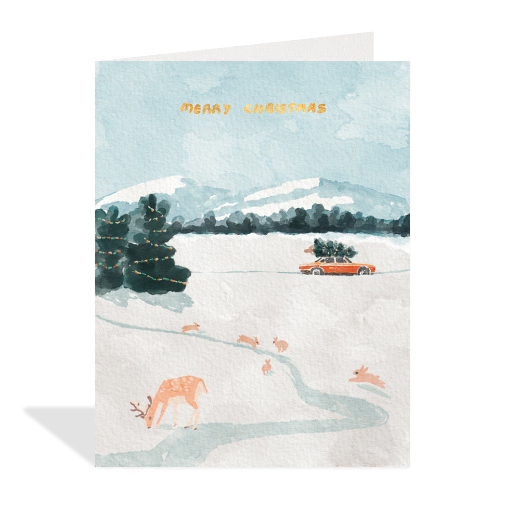 Christmas Road Trip