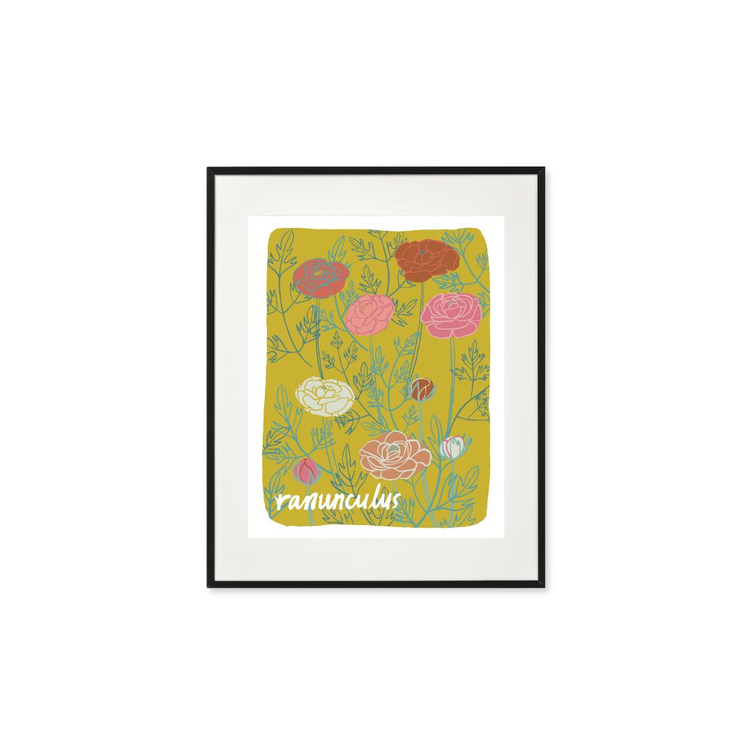Ranunculus - Art Print