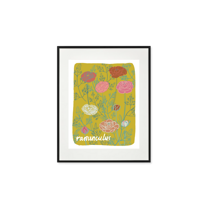 Ranunculus - Art Print