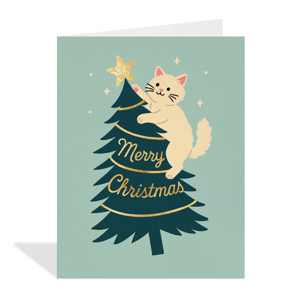 Cat on Christmas